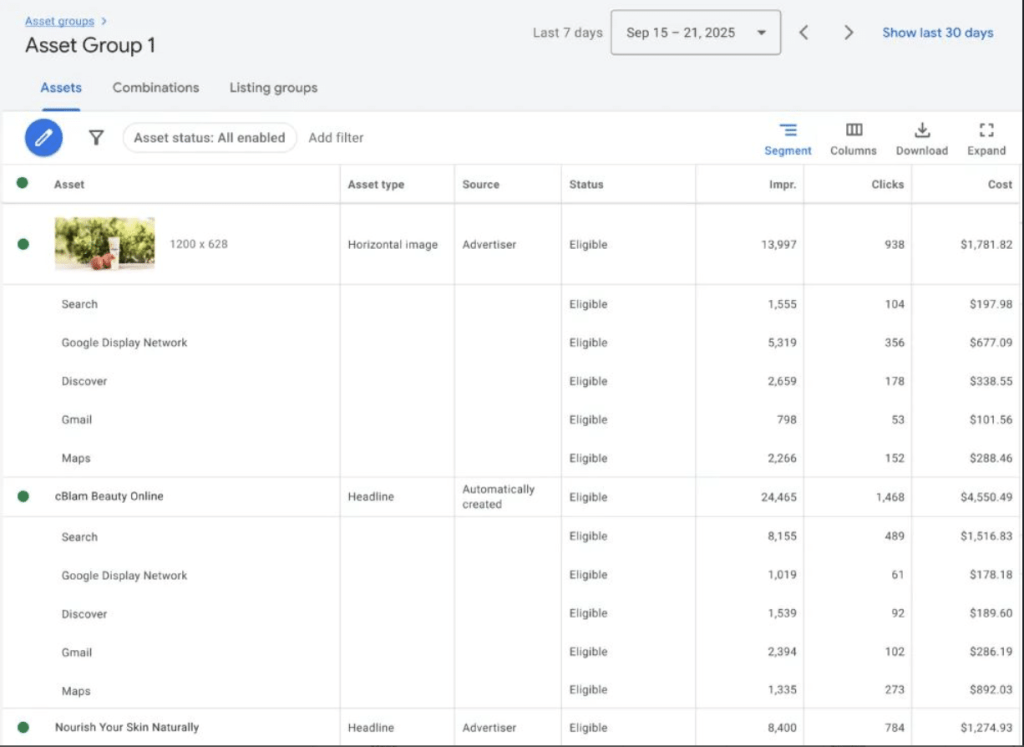 Screenshot of Google Ads reporting dashboard