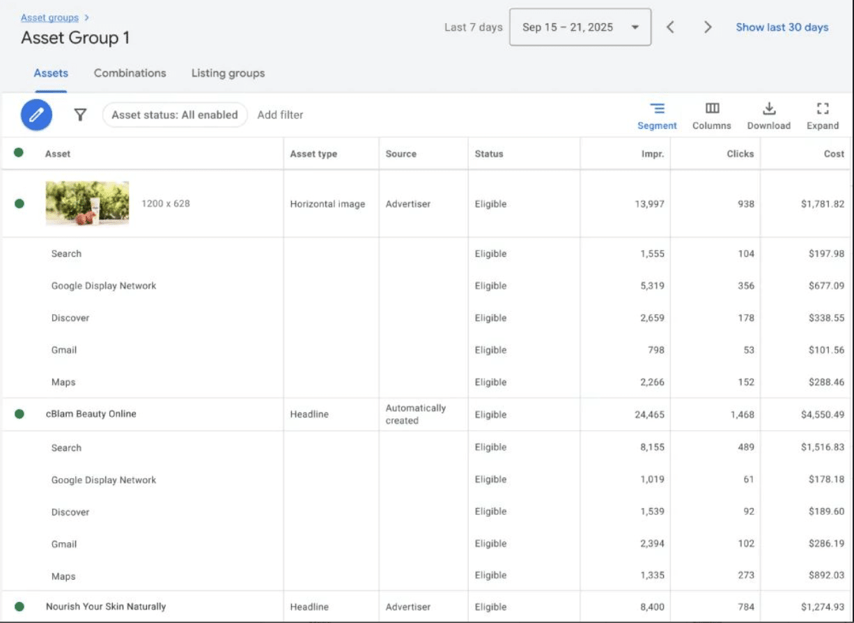 Screenshot of Google Ads reporting dashboard